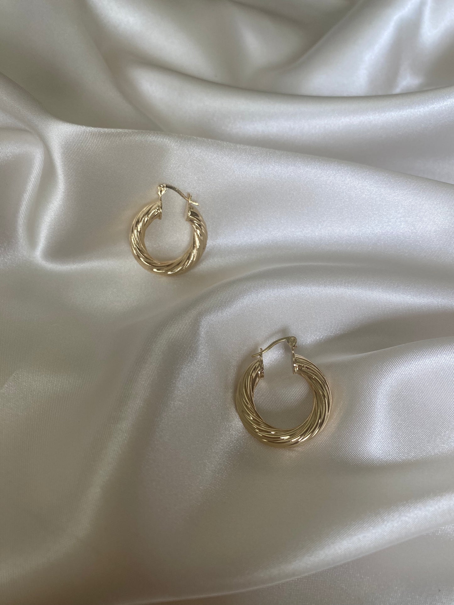 Spiral Hoop Earrings