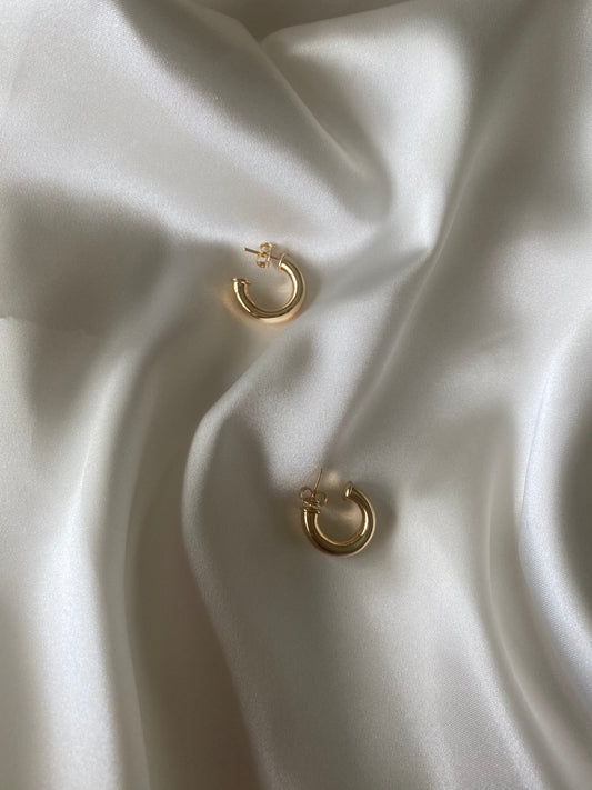 Hoop Earrings